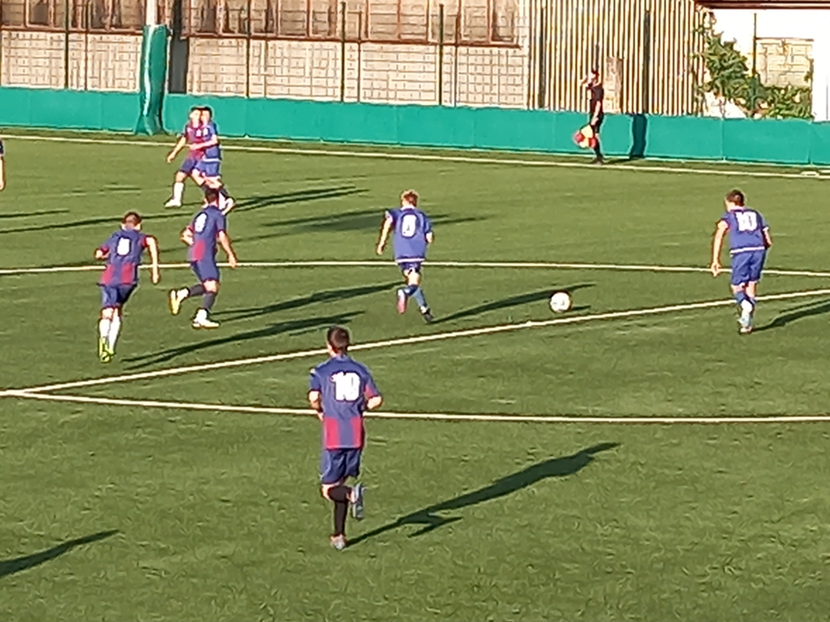 Bez golova