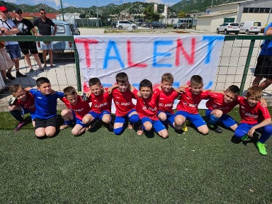 Turnir u Pločama